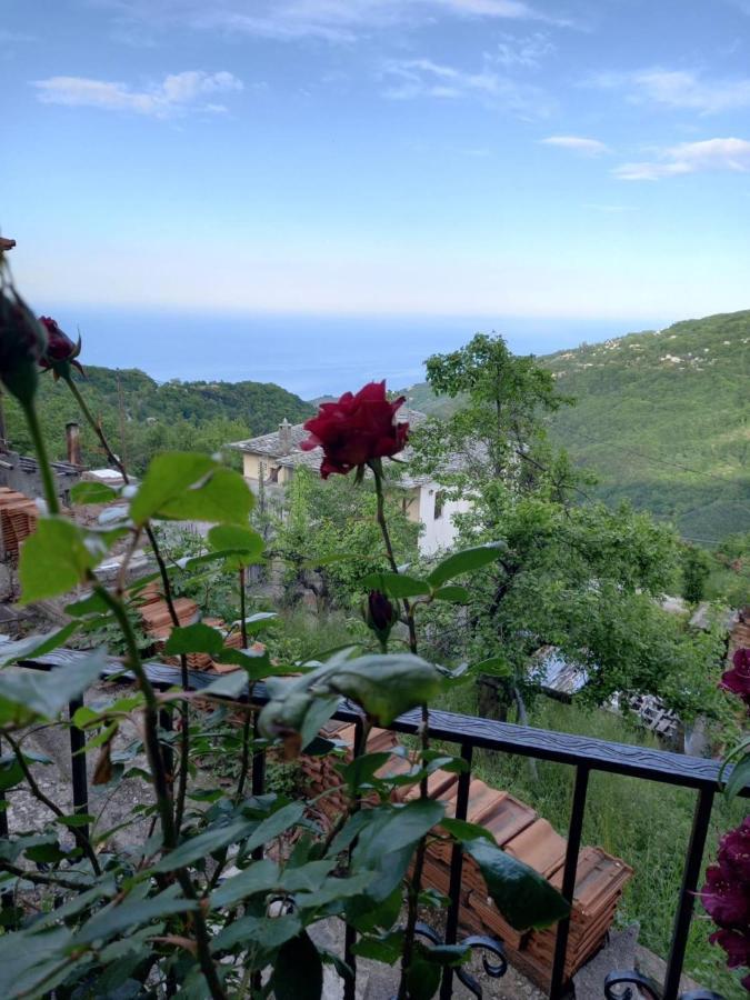 Orizontas Pilio Villa Kissos  Exteriér fotografie