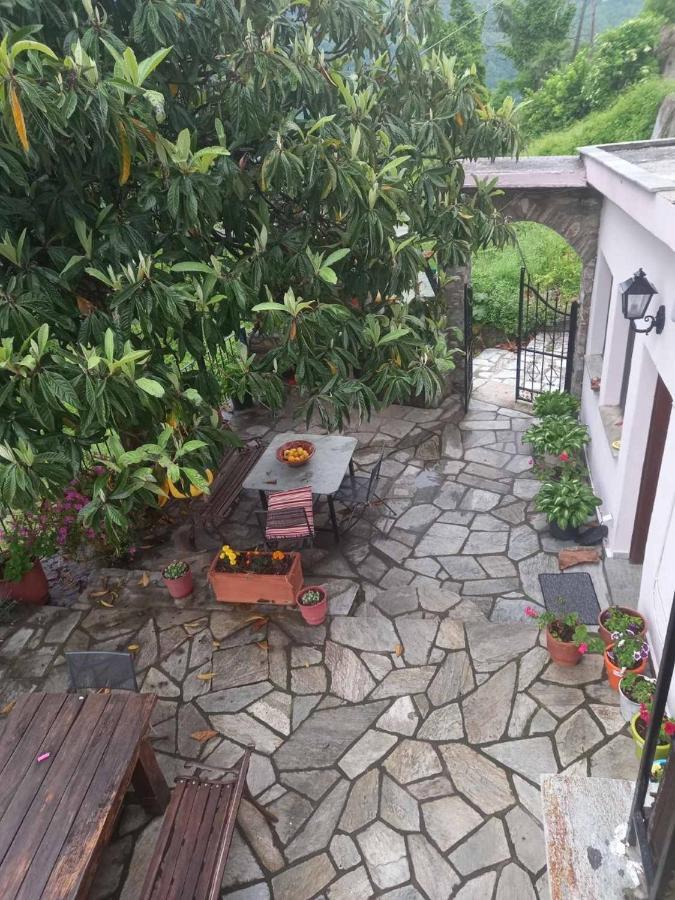Orizontas Pilio Villa Kissos  Exteriér fotografie