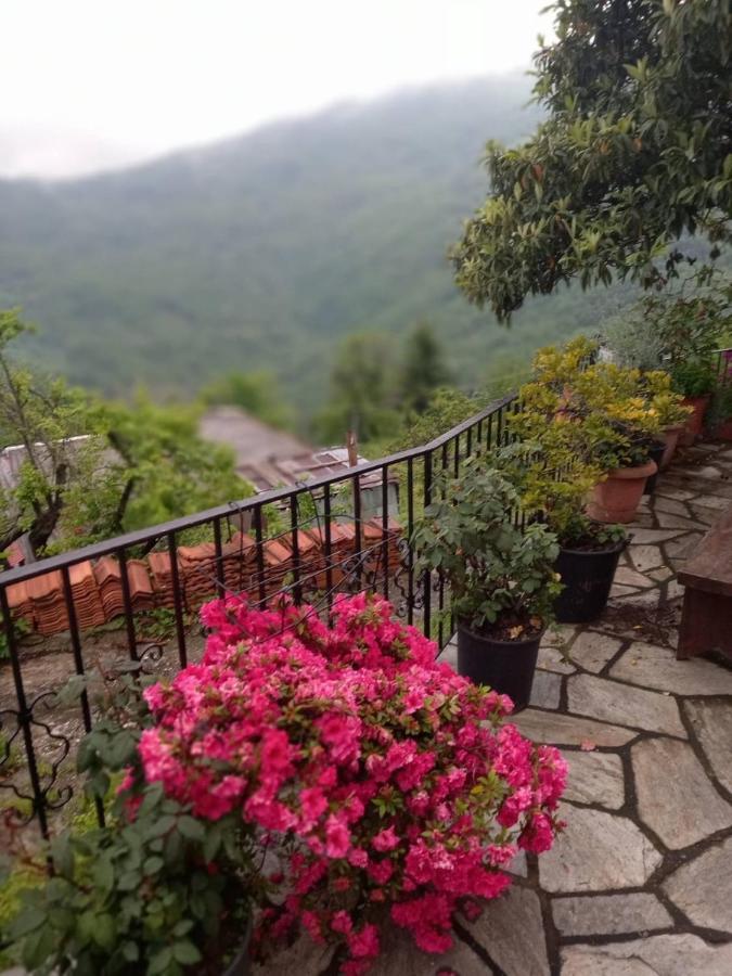 Orizontas Pilio Villa Kissos  Exteriér fotografie