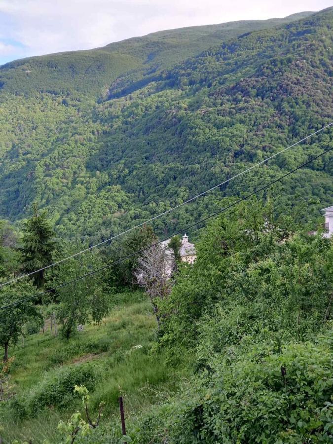 Orizontas Pilio Villa Kissos  Exteriér fotografie
