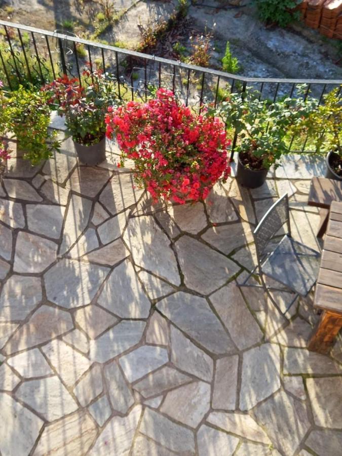 Orizontas Pilio Villa Kissos  Exteriér fotografie