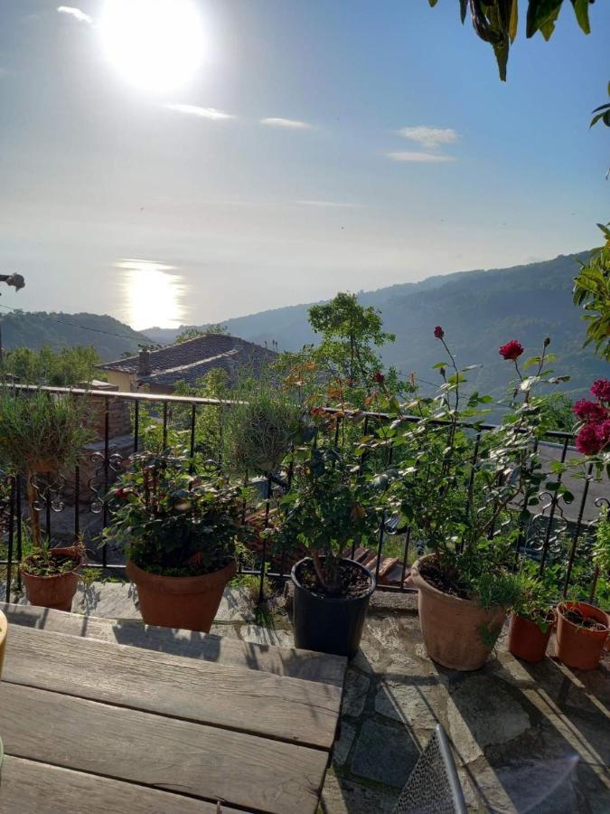 Orizontas Pilio Villa Kissos  Exteriér fotografie