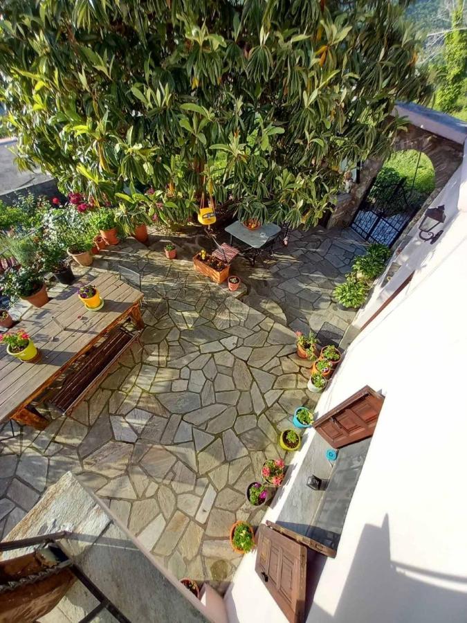 Orizontas Pilio Villa Kissos  Exteriér fotografie