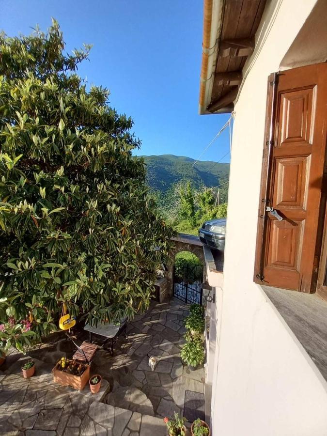 Orizontas Pilio Villa Kissos  Exteriér fotografie